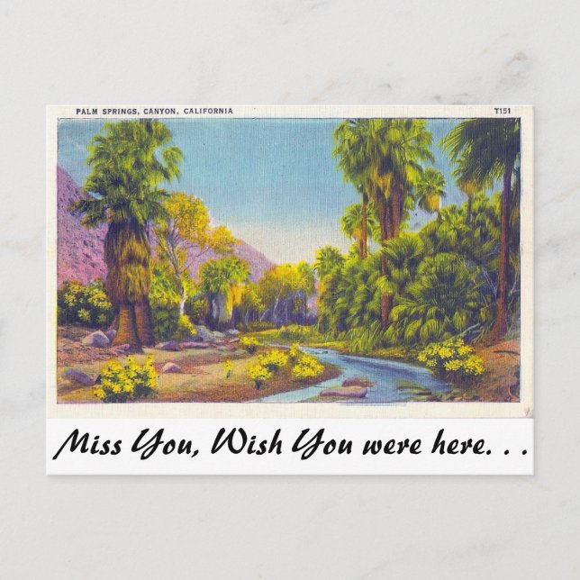 Palm Springs Canyon, California Postcard (Front)