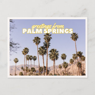 Palm Springs Palm Trees Retro Vintage Travel Postcard