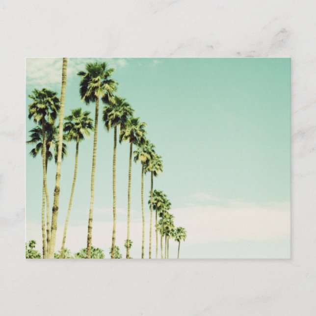 Palm Springs Postcard (Front)