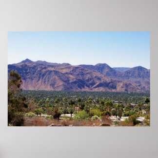 palm springs poster