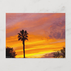 Palm Springs Sunset Postcard