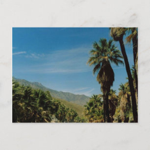 Palm Springs View Postcard
