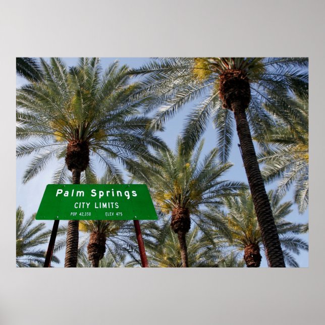 Palm Springs Welcomes You Poster (Front)