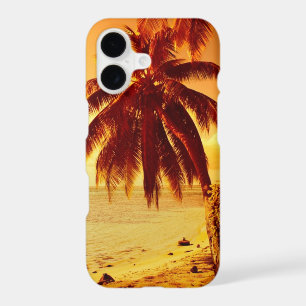Palm sunset