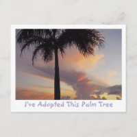 PALM TREE AGAINST LAVENDER,PEACH,GOLD SUNSET