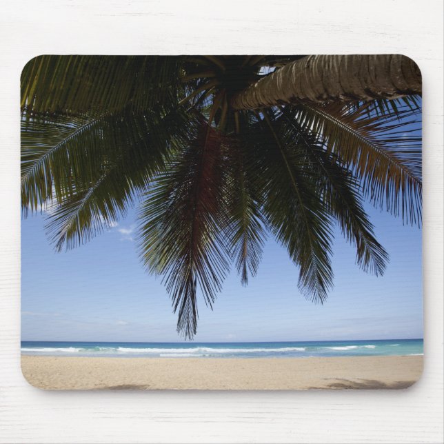 Palm tree along Caribbean Sea. Mouse Mat (Front)