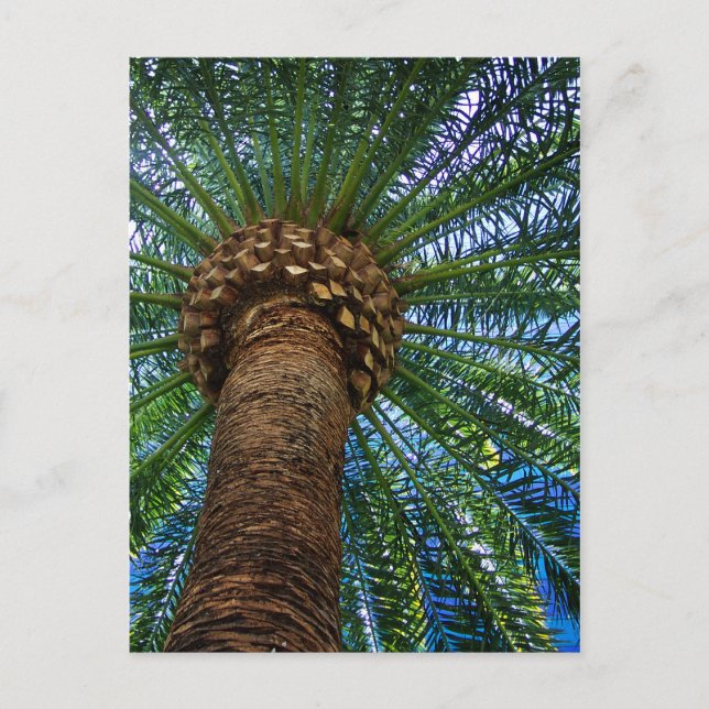 Palm Tree And Beach Wedding Invitation Postcard (Front)