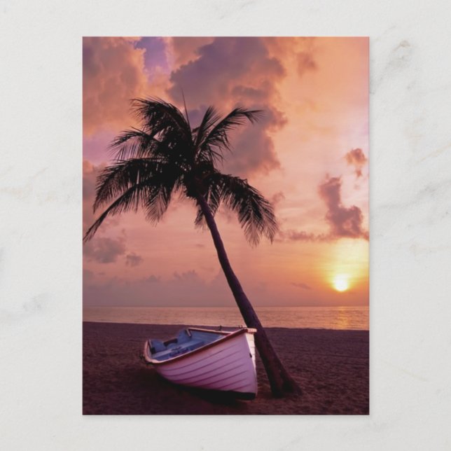 Palm Tree and Boat Beach Sunset Holiday Postcard (Front)