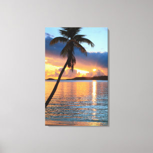 Palm Tree and Caribbean Sunset Sky, St. Thomas Canvas Print
