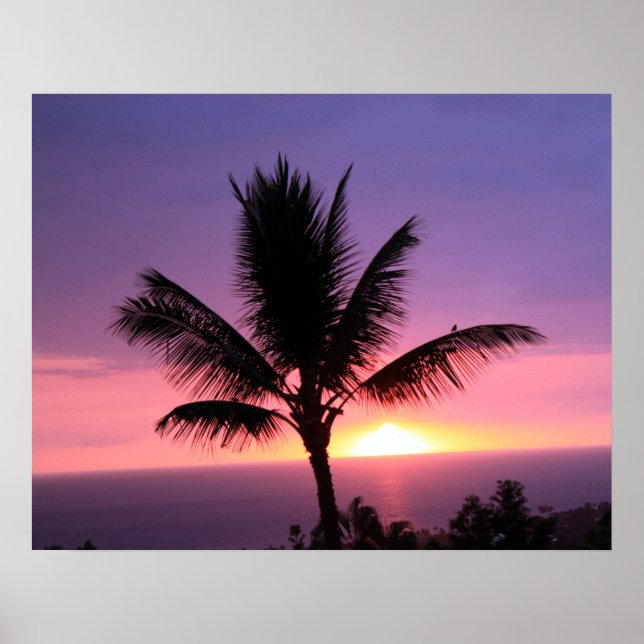 Palm Tree and Colourful Sunset Sky Poster (Front)
