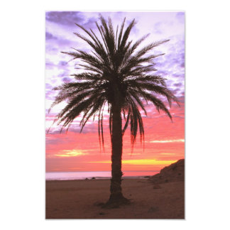 Palm Tree and Dawn Sky Photo Print