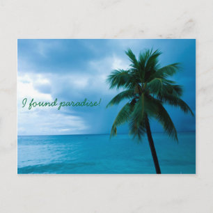 palm tree and ocean postcard