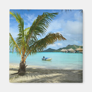 Palm tree and overwater resort magnet