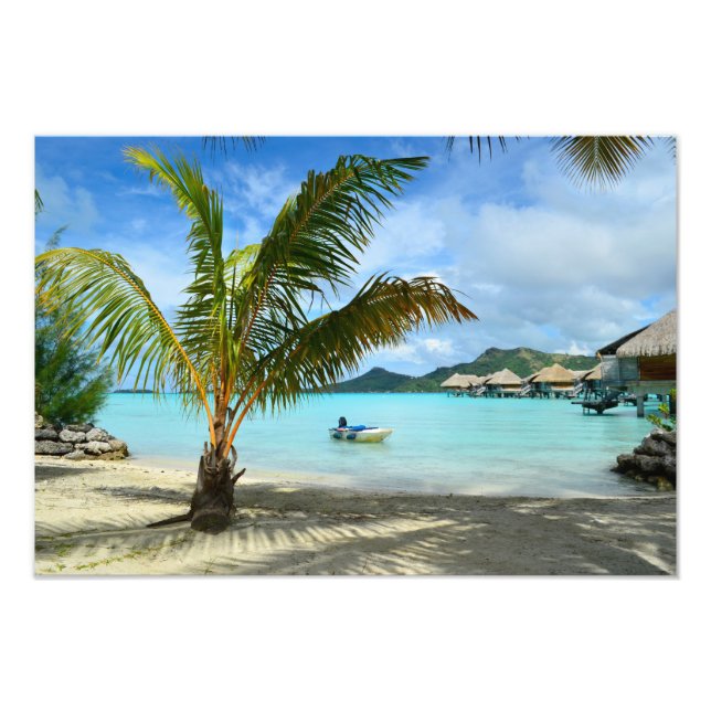Palm tree and overwater resort photo print (Front)