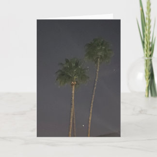 Palm Tree And Star ⭐️  Card