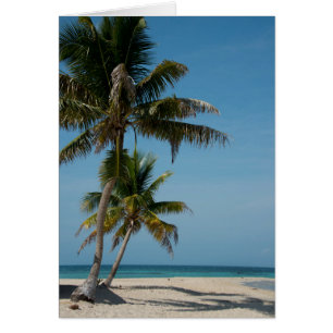 Palm tree and white sand beach