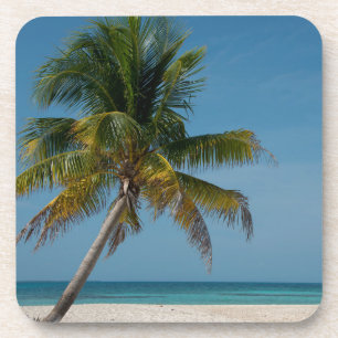 Palm tree and white sand beach 2 coaster