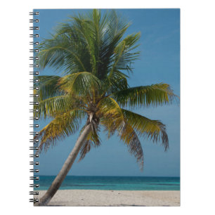Palm tree and white sand beach  2 notebook