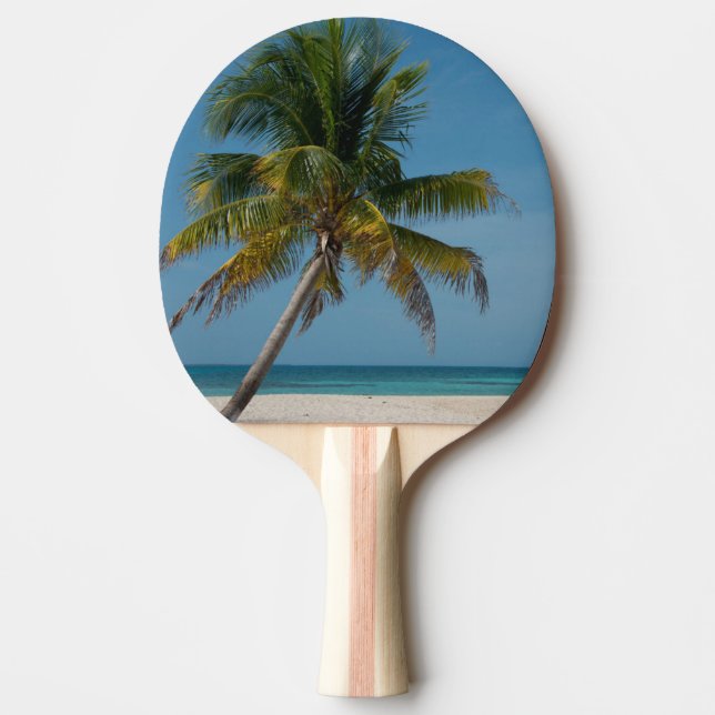 Palm tree and white sand beach  2 ping pong paddle (Front)