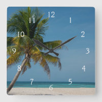 Palm tree and white sand beach  2