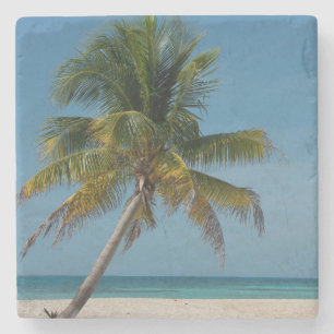 Palm tree and white sand beach 2 stone coaster