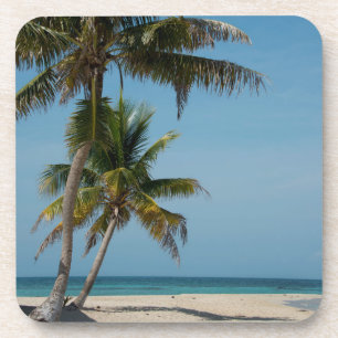 Palm tree and white sand beach coaster