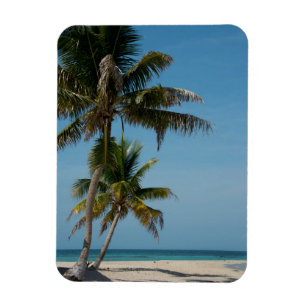 Palm tree and white sand beach magnet
