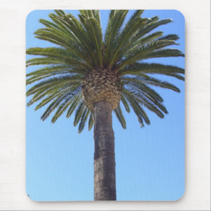 Palm Tree at San Diego, CA Mouse Mat