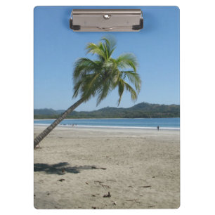 Palm Tree at the Beach Clipboard