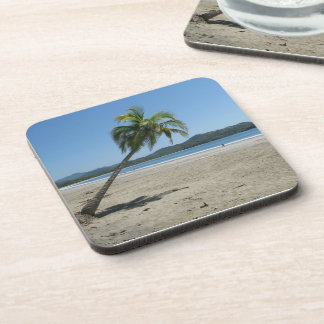 Palm Tree at the Beach Coaster