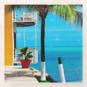 Palm Tree At The Front Yard Of A House By The Sea Glass Coaster