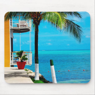 Palm Tree At The Front Yard Of A House By The Sea Mouse Mat