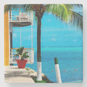 Palm Tree At The Front Yard Of A House By The Sea Stone Coaster