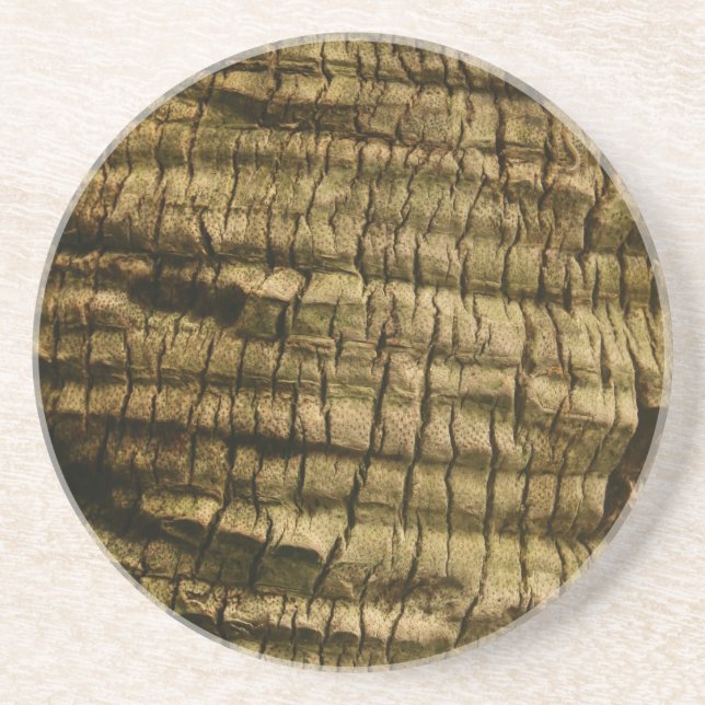 Palm Tree Bark Coaster (Front)