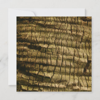 Palm Tree Bark Holiday Card