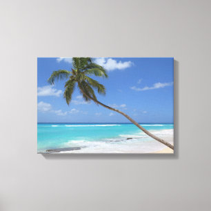 Palm tree beach caribbean canvas print
