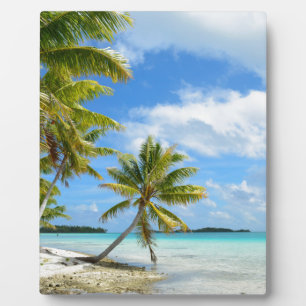Palm tree beach plaque