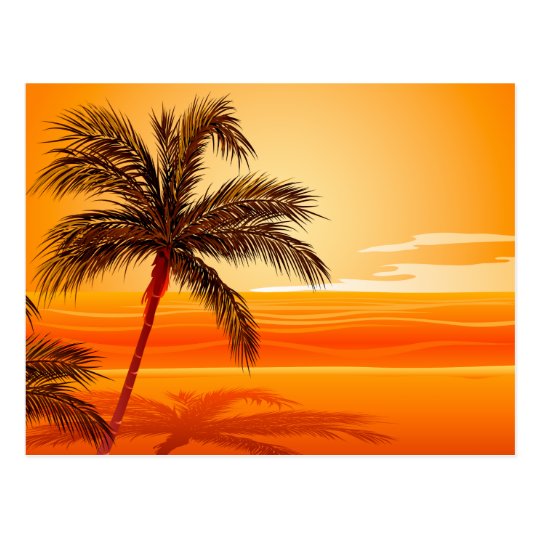 Palm Tree Beach Sunset Postcard