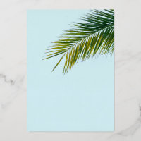 Palm tree branch