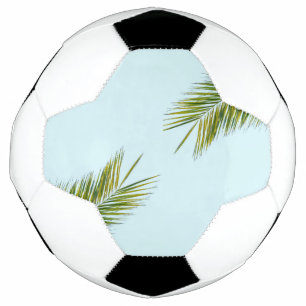 Palm tree branch football