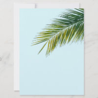 Palm tree branch