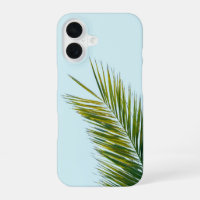 Palm tree branch