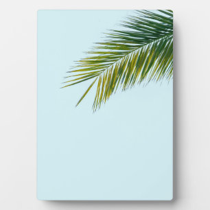 Palm tree branch plaque