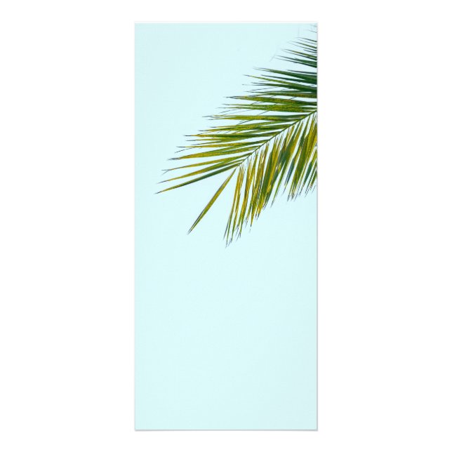 Palm tree branch rack card (Front)