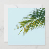 Palm tree branch
