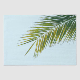 Palm tree branch tissue paper