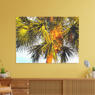Palm Tree Branches, Afternoon Sun Canvas Print