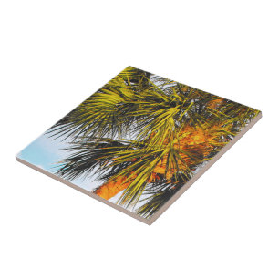 Palm Tree Branches, Afternoon Sun Tile