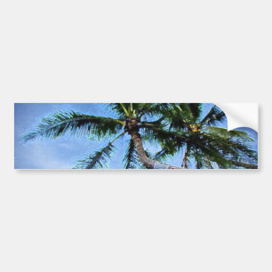 Palm Tree Bumper Sticker