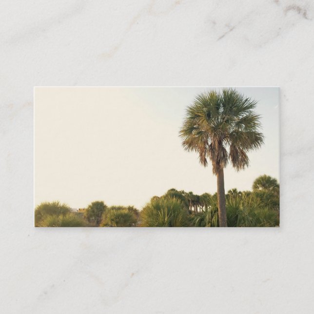 Palm Tree Business Cards (Front)